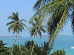 S43 (293990 byte) - Palme lungo la spiaggia