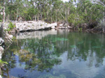 S72 (363801 byte) - A cenote (=pool) in the jungle