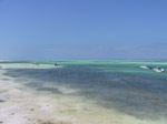 S77 (153170 byte) - Una spiaggia a Kiwengwa
