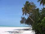 S78 (230565 byte) - Una spiaggia a Kiwengwa